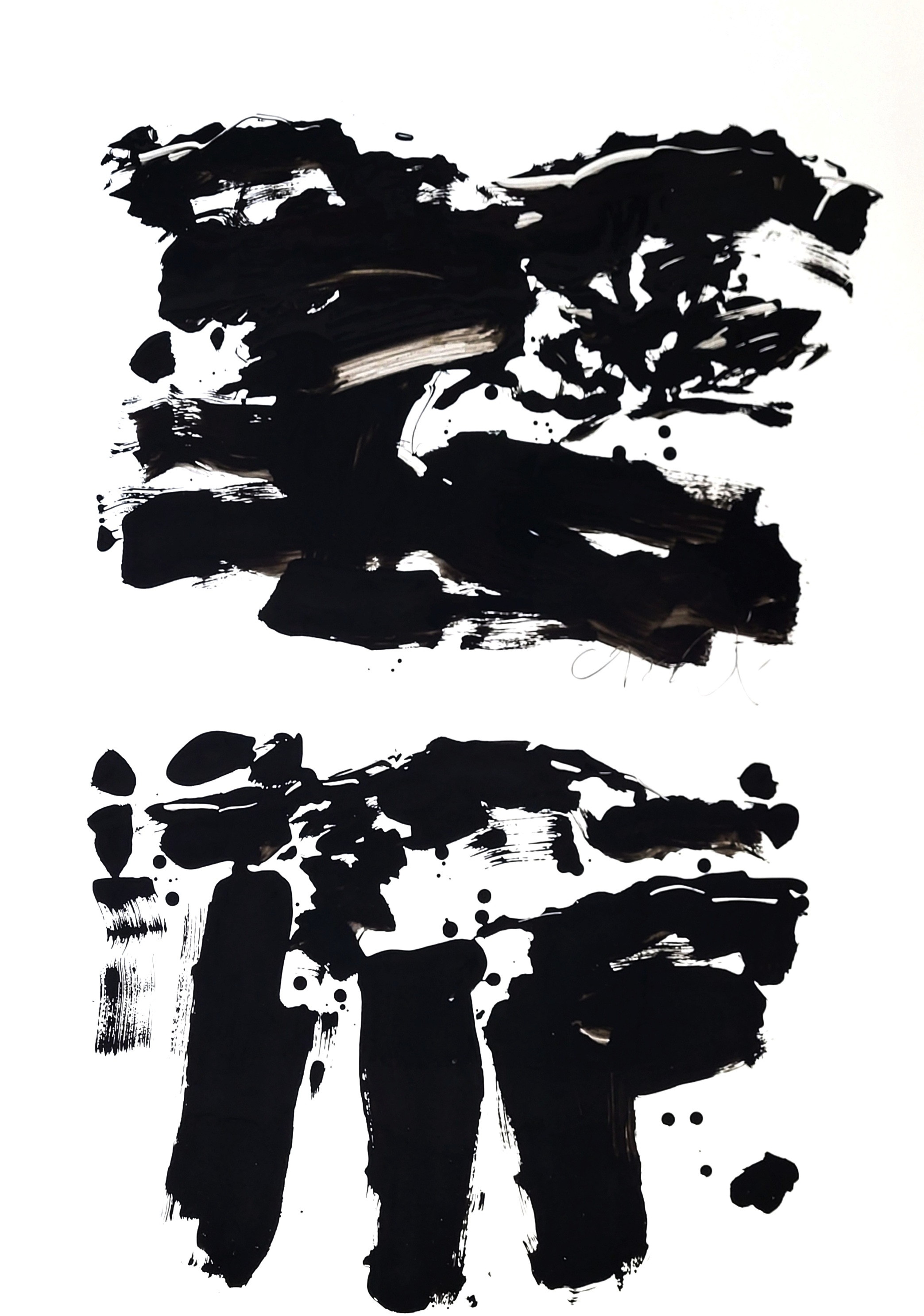 paysage au noir